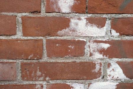 Oxidation And Efflorescence: What You Need To Know Thumbnail