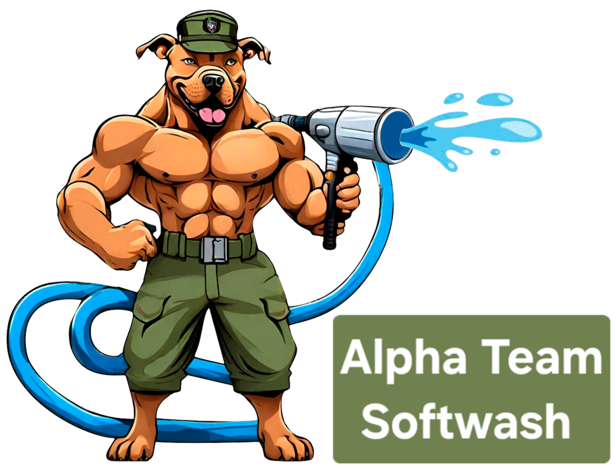 alpha team softwash